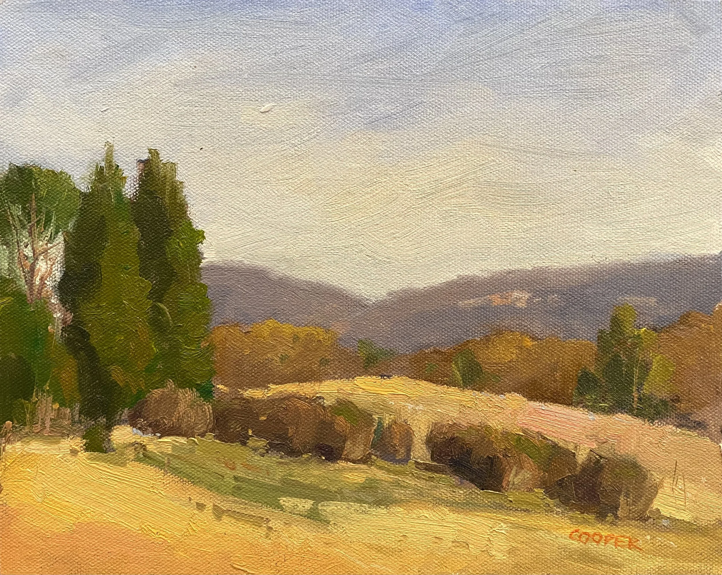 Landscape+XI.jpg?format=1000w